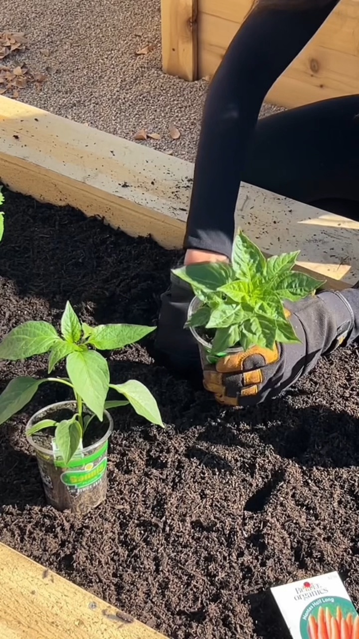 gardening