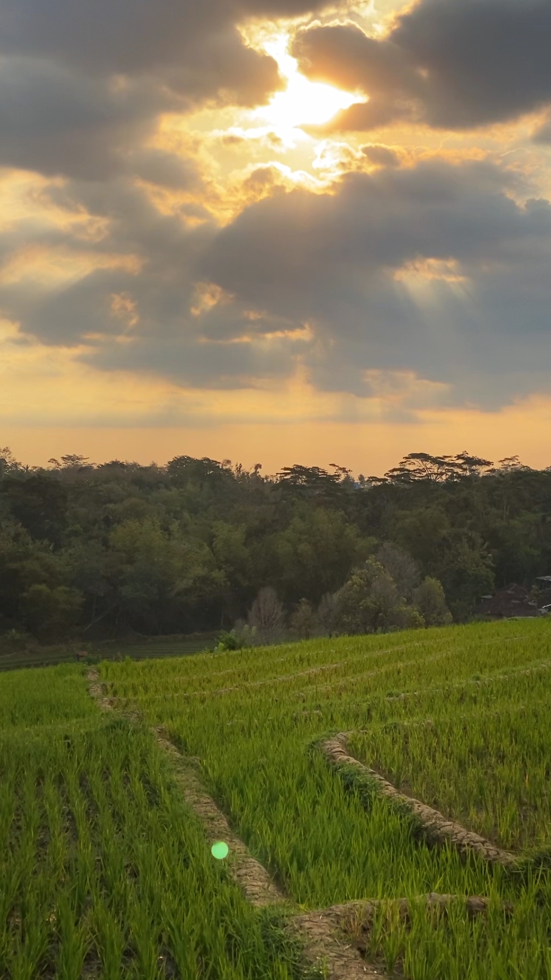Vídeo Cinematográfico