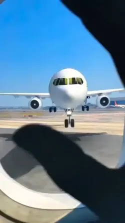 avion viral