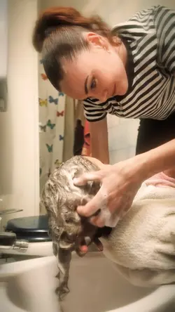 Stages of motherhood