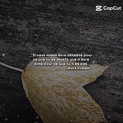 Quotes