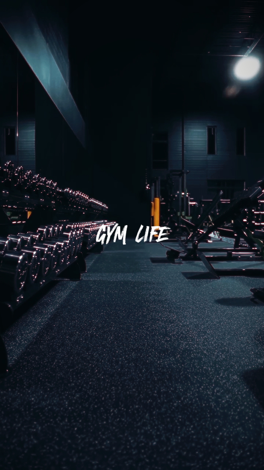 Vida en el gimnasio | 7 videos
