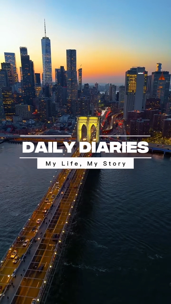 daily diaries