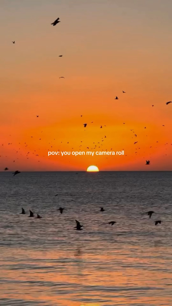 pov: my camera roll