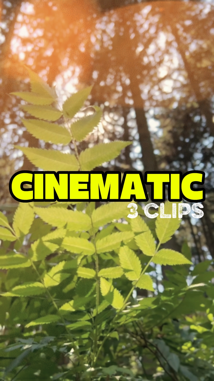 CINEMÁTICO 3 CLIPES 
