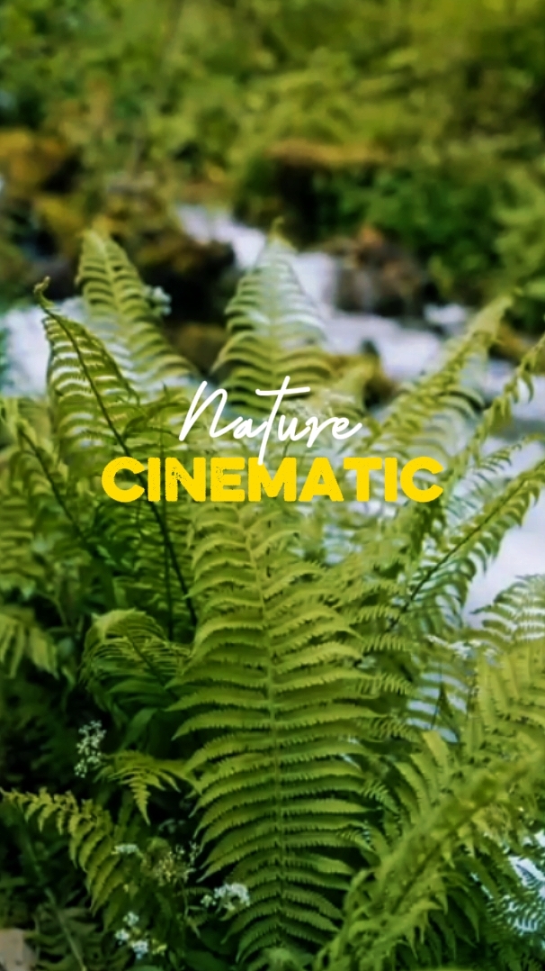 Cinematic Nature