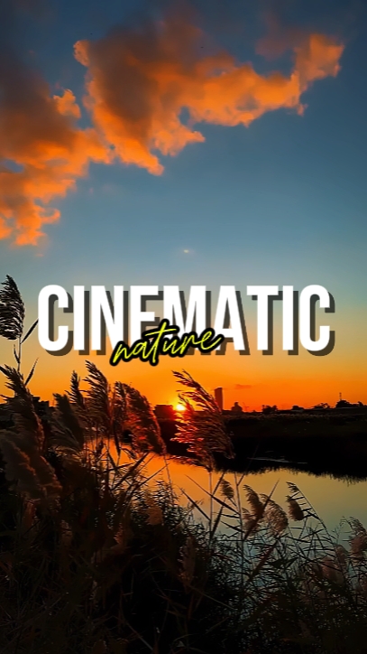 NATURE CINÉMATIQUE