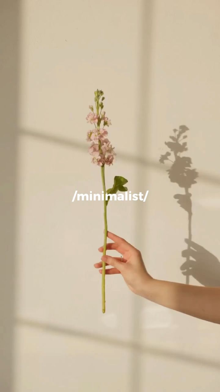minimalist 1.1