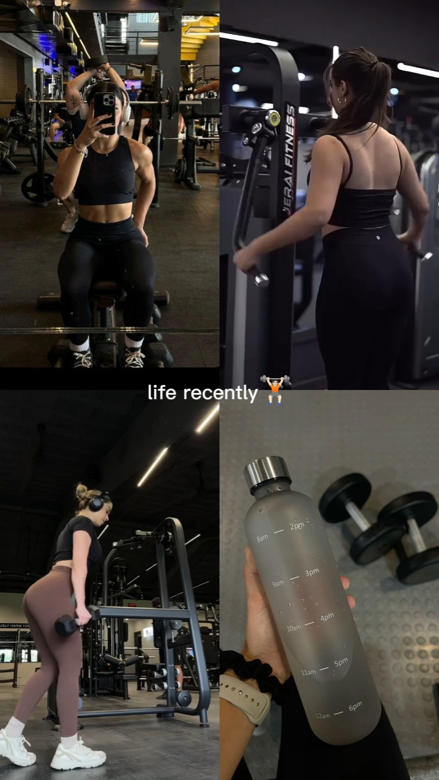 Gimnasio 
