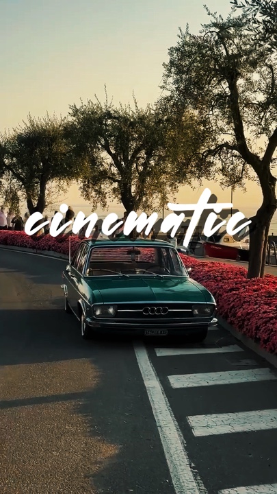 6 Video Cinematic