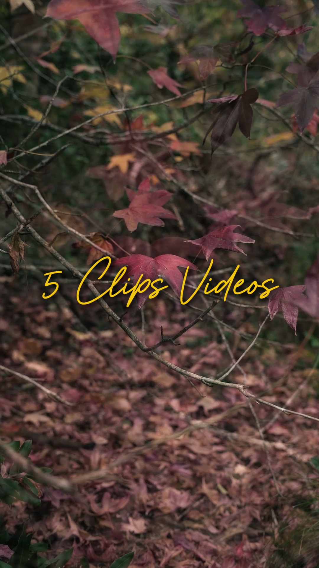 Sinematik 5 Videolar