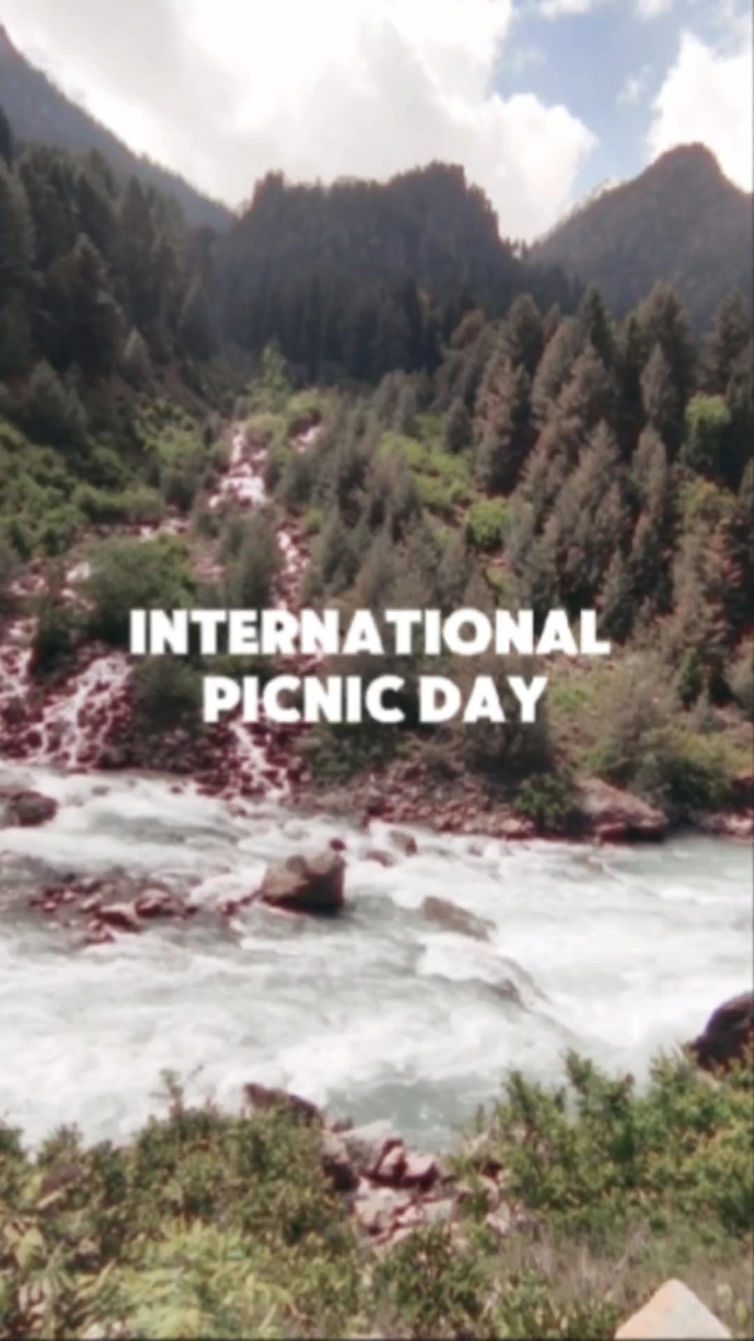 Picnic Day 2024