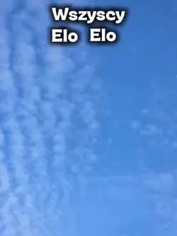 Elo elo