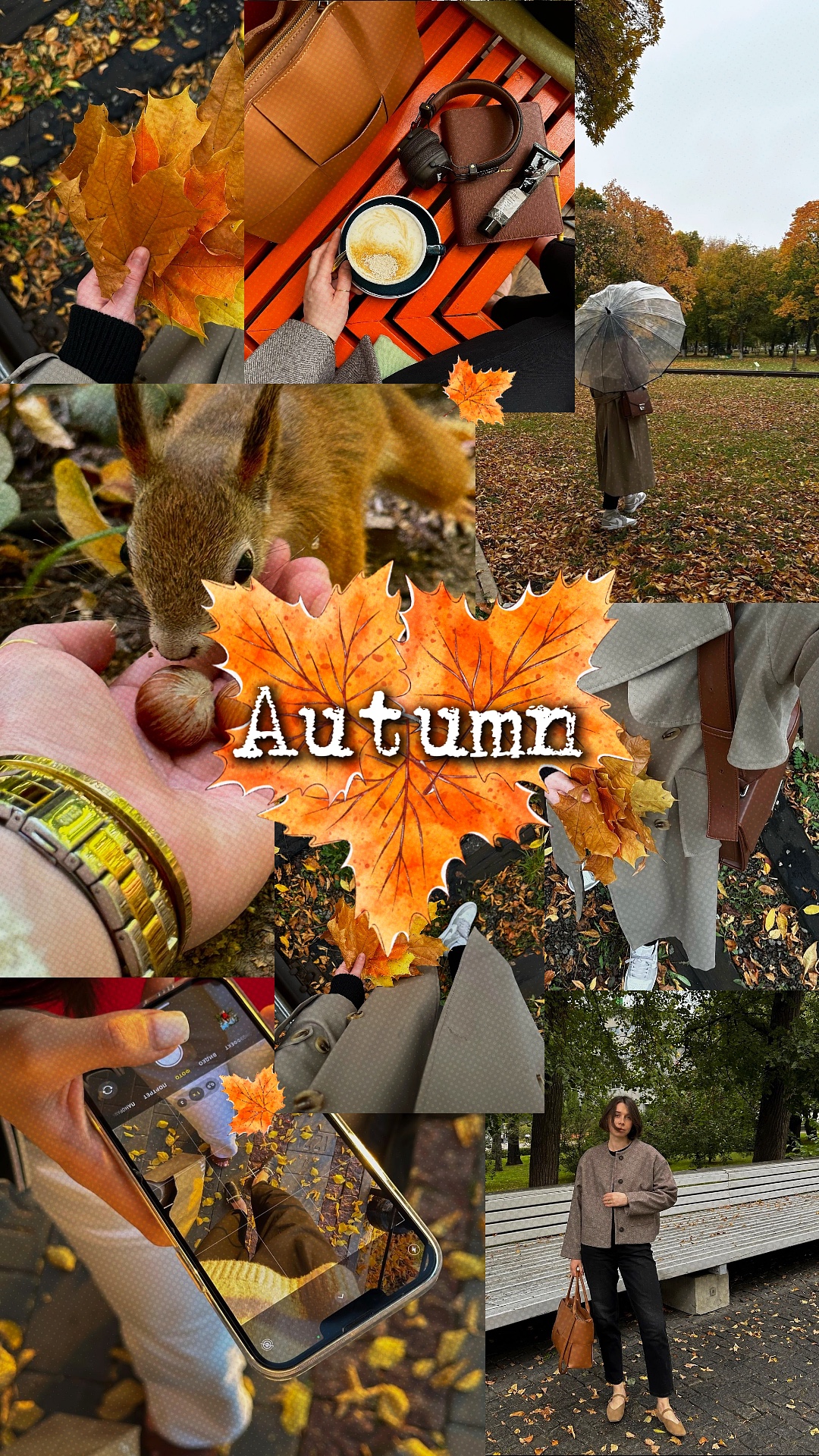 Autumn in my heart 