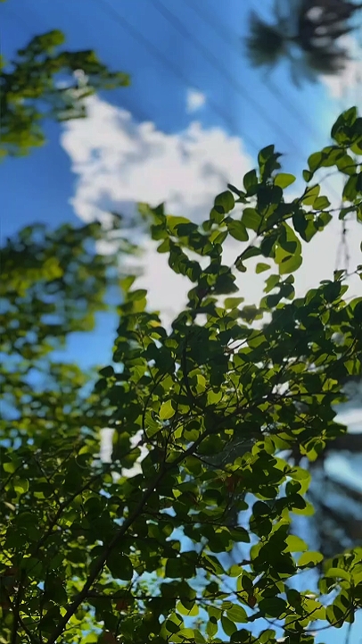 KINEMATISCH HD 