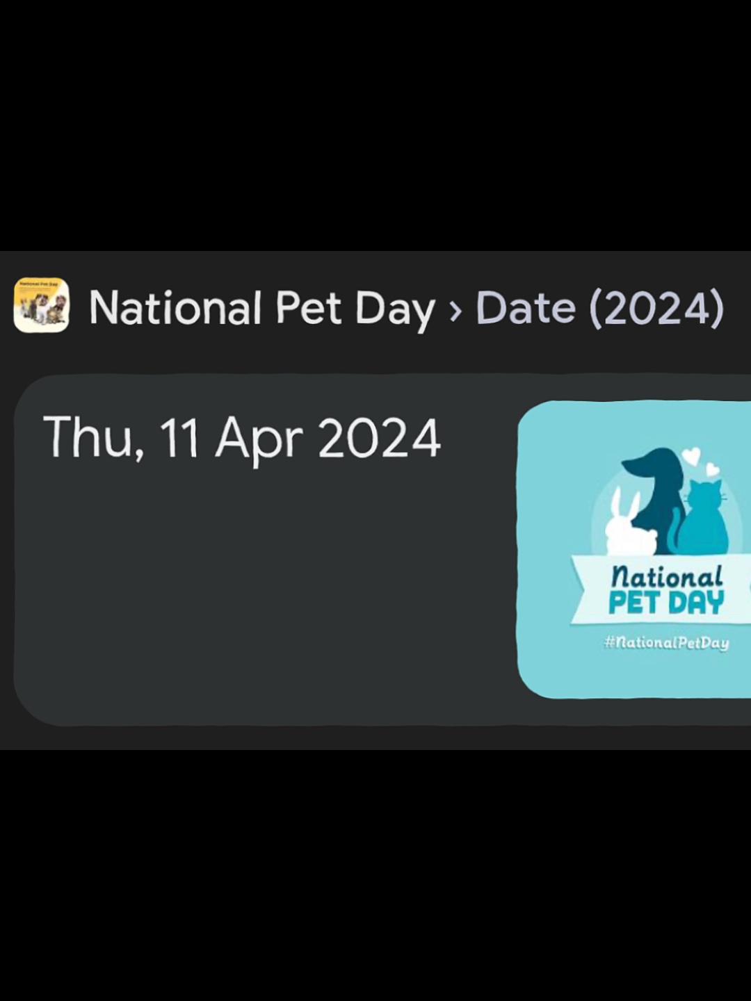 pet day🐾|| 11/04