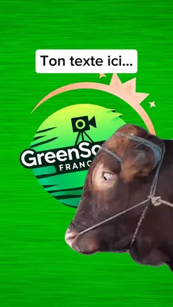 vache regard
