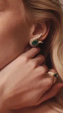 JEWELRY VIRAL 5CLIP