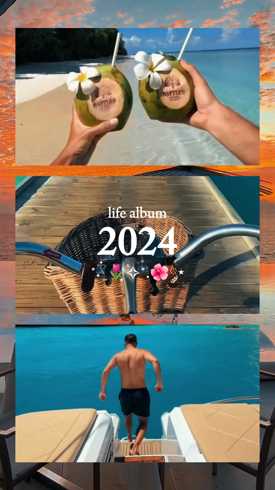 라이프 앨범 2024