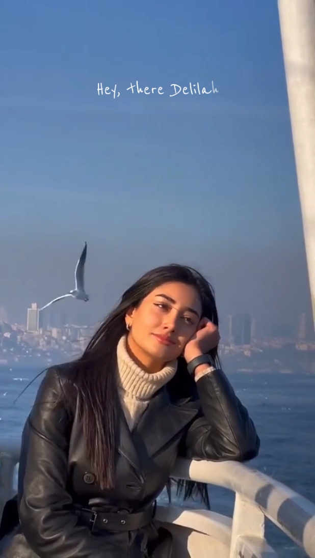 Cover Picture