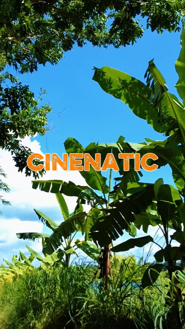 Rak Cinematic