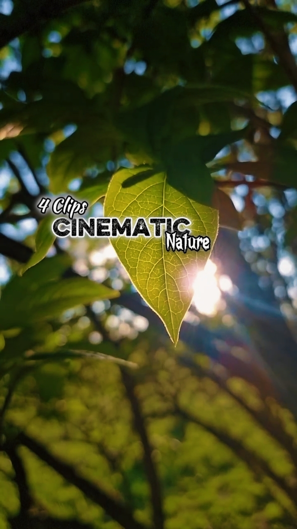 Cinemática 4 Clips 