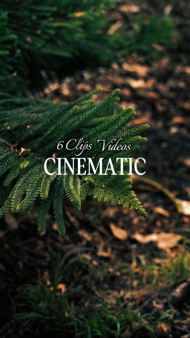 6Mga clip cinematic