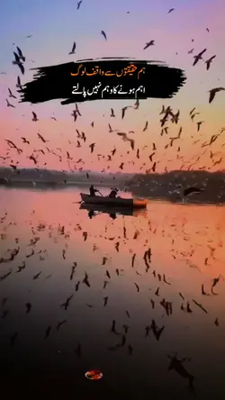 ہم وہ انا پرست ہیں 