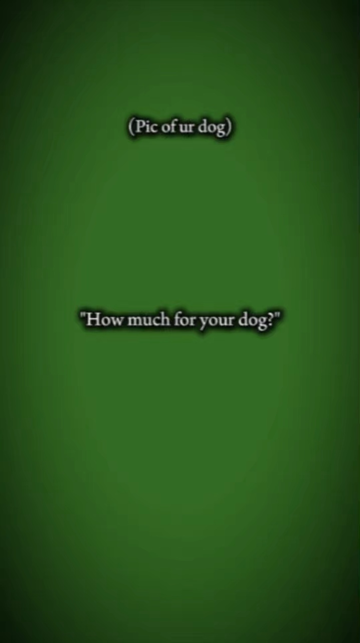 Dog