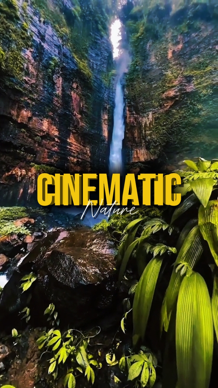 CINEMATIC NATURE