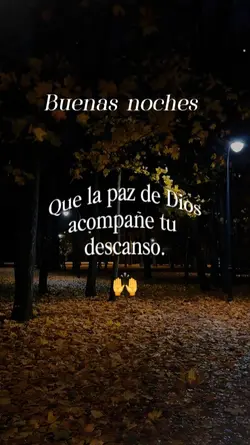Buenas Noches