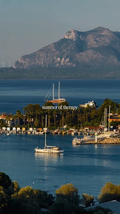 summer of therapy