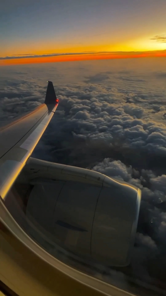aviation cinematic
