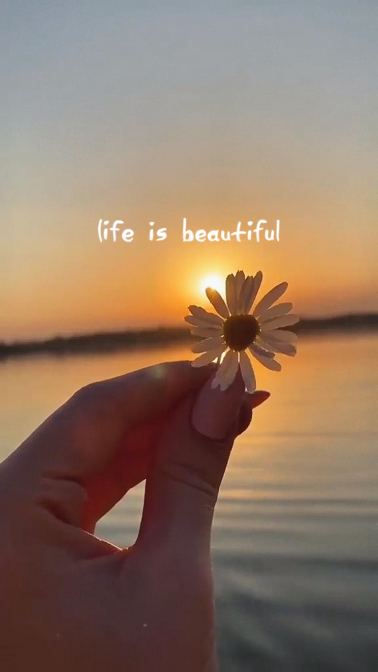 A vida é linda 