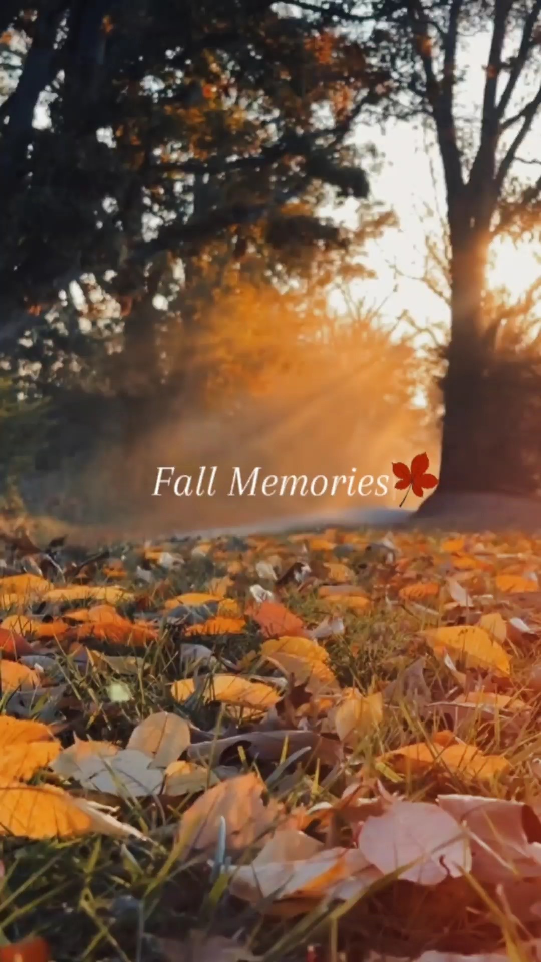 Fall Memories