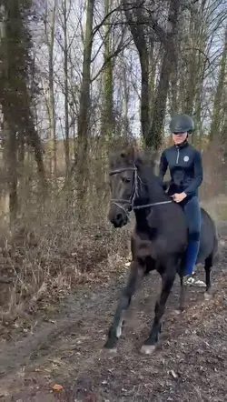 Gallopp Slowmo