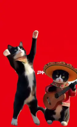 tiktok viral