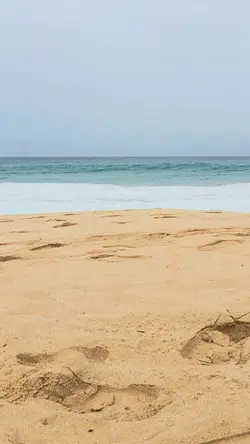 Beach Therapy
