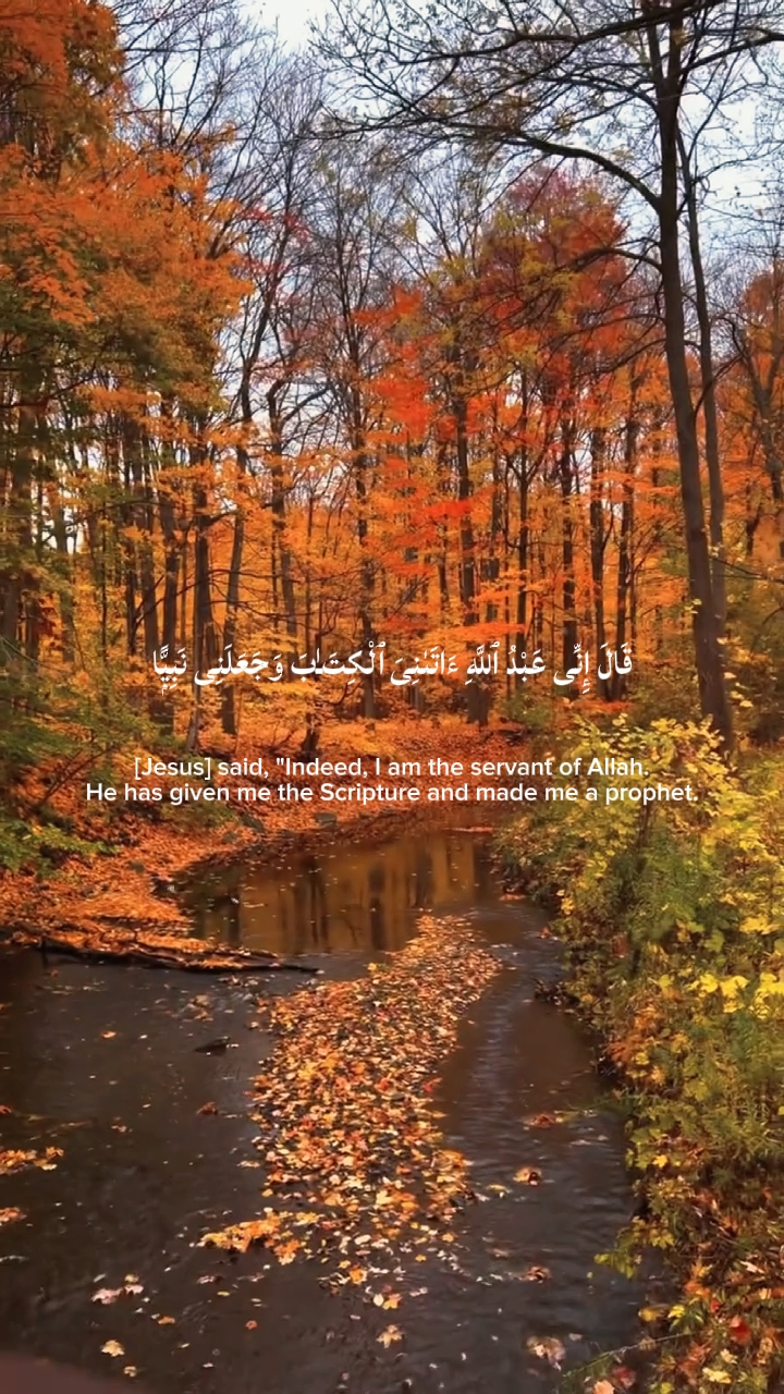 QURAN VERSE