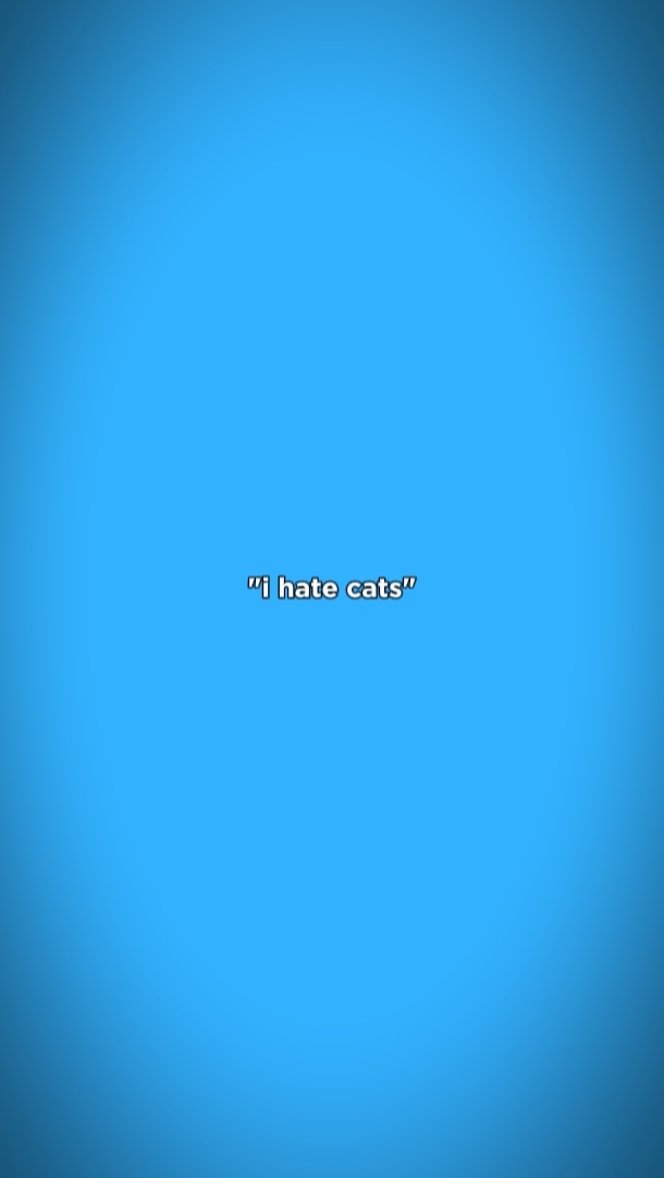 Katzen