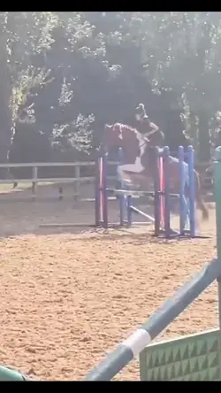This pony oml..🥹
