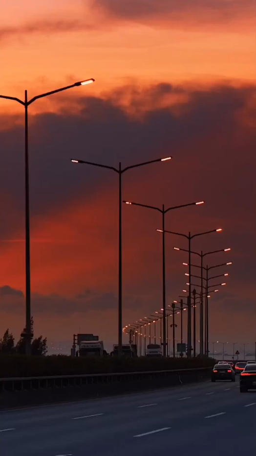 transition video