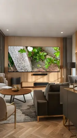 living room tv