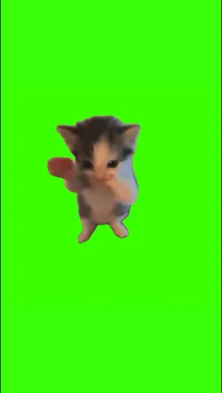 kicau kicau mania