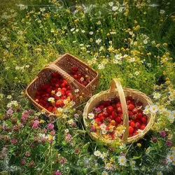 Spring Aestetic 