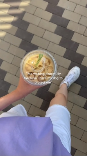 My dog🐶