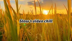 Chill đồng lúa