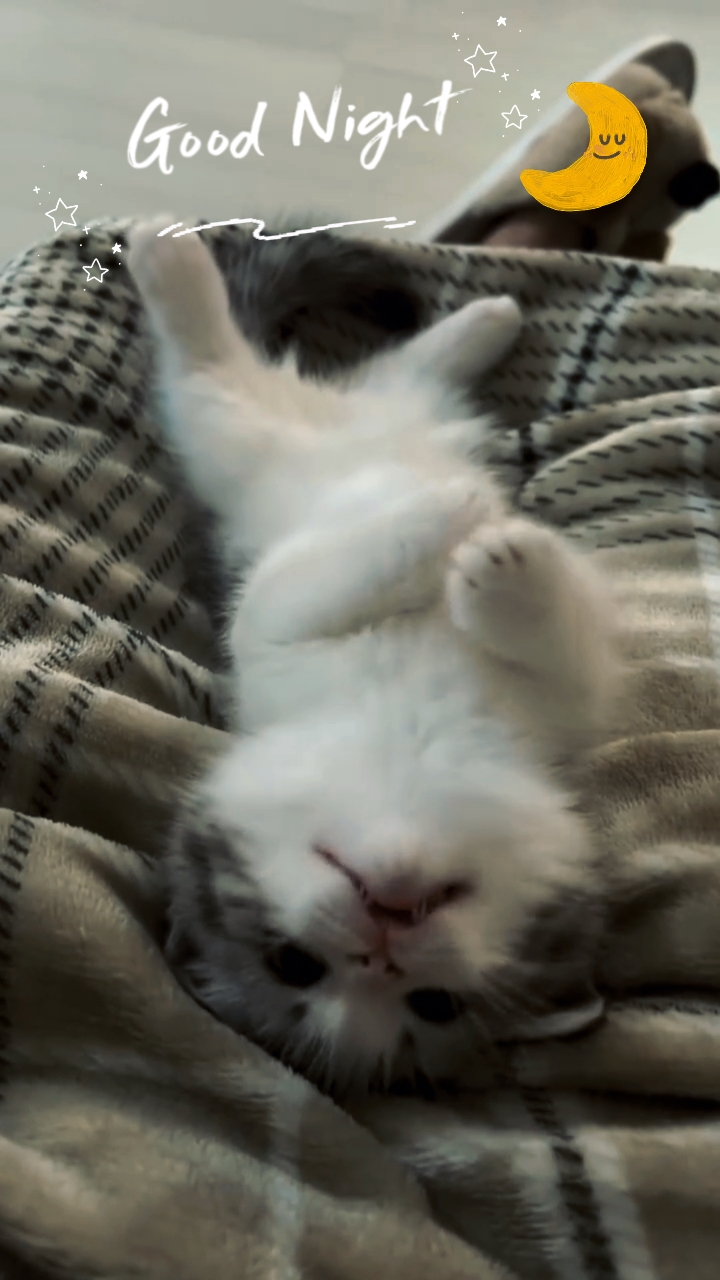 Selamat malam