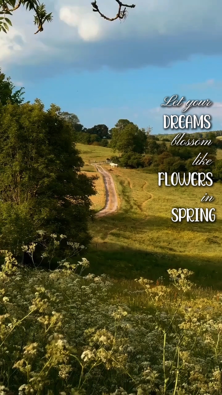 Flores en primavera