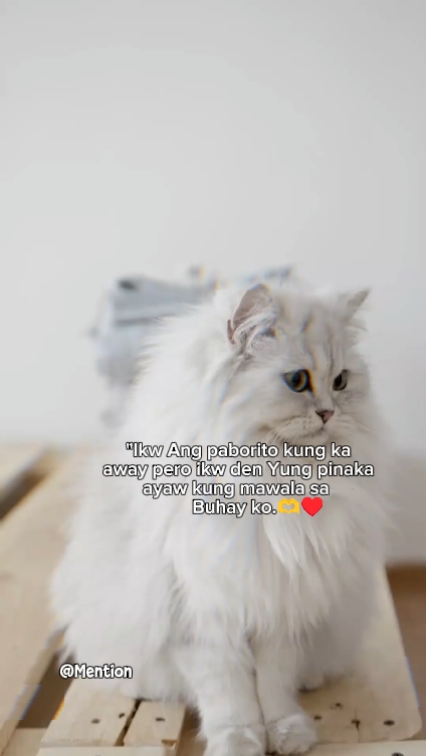 IKW lng habang buhay